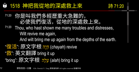 A presentation slide with Chinese and English text about faith and law, along with Greek word roots.