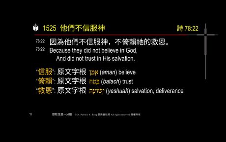 A presentation slide with Chinese and English text about faith and law, along with Greek word roots.