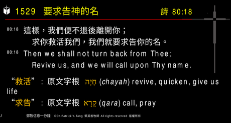 A presentation slide with Chinese and English text about faith and law, along with Greek word roots.
