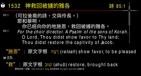 A presentation slide with Chinese and English text about faith and law, along with Greek word roots.