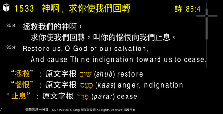 A presentation slide with Chinese and English text about faith and law, along with Greek word roots.