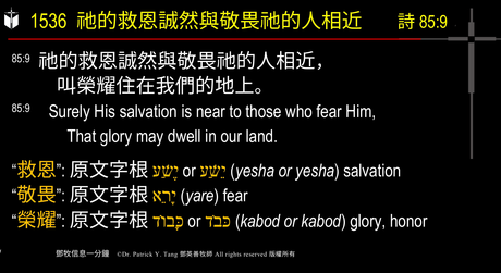 A presentation slide with Chinese and English text about faith and law, along with Greek word roots.