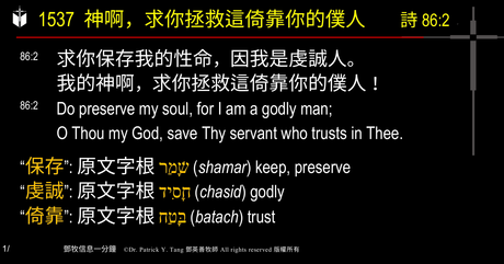 A presentation slide with Chinese and English text about faith and law, along with Greek word roots.