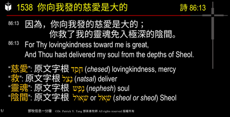 A presentation slide with Chinese and English text about faith and law, along with Greek word roots.
