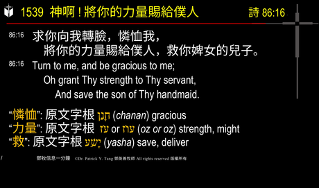 A presentation slide with Chinese and English text about faith and law, along with Greek word roots.