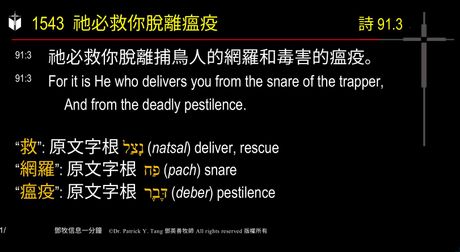 A presentation slide with Chinese and English text about faith and law, along with Greek word roots.