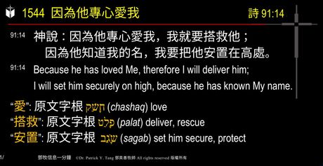 A presentation slide with Chinese and English text about faith and law, along with Greek word roots.