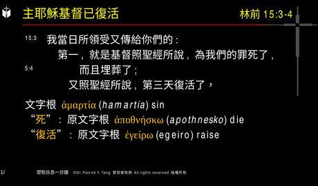 A presentation slide with Chinese and English text about faith and law, along with Greek word roots.