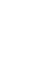 White background.