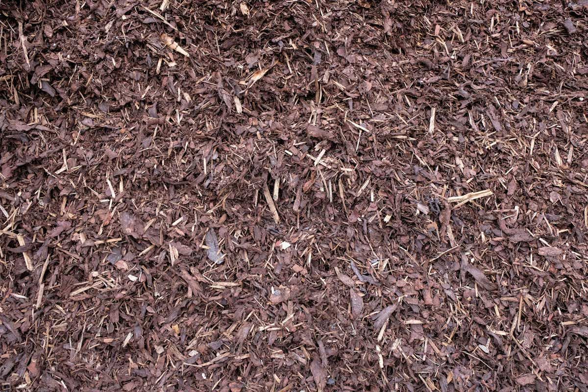 Light Brown Cocoa mulch — Omaha, NE  — Tim’s Tree Service and Mulch