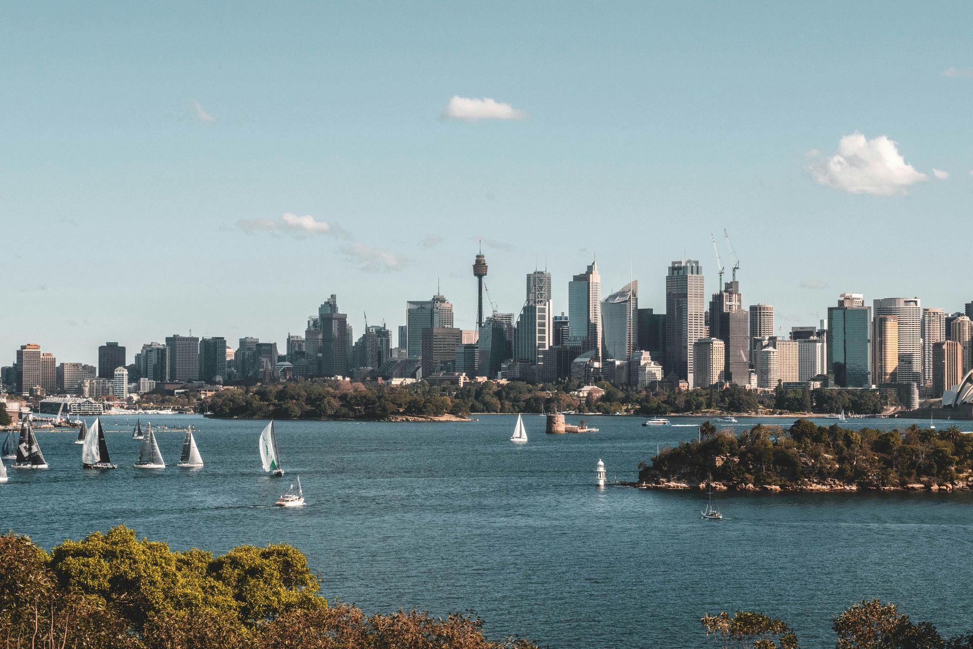 Sydney skyline with sailboats on the harbor under a clear blue sky