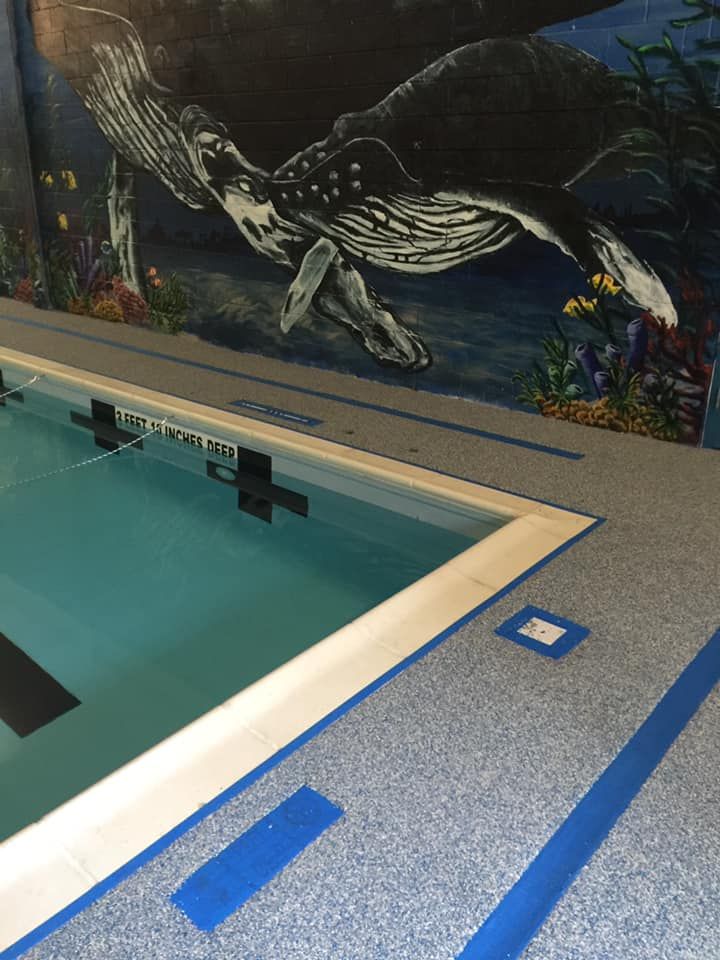 A swimming pool with a mural of a whale on the wall.