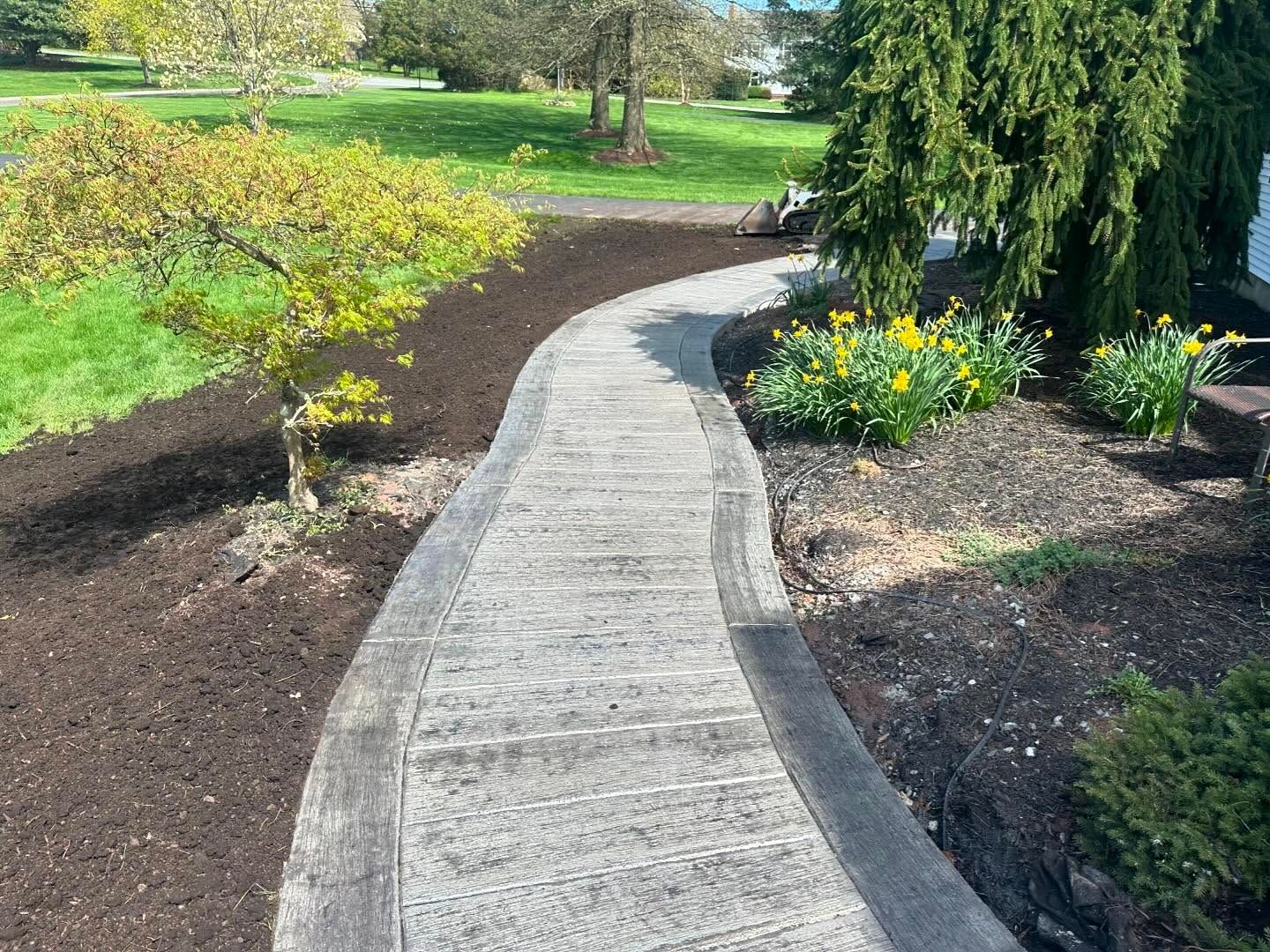 A concrete walkway is surrounded by trees and flowers in a garden.
