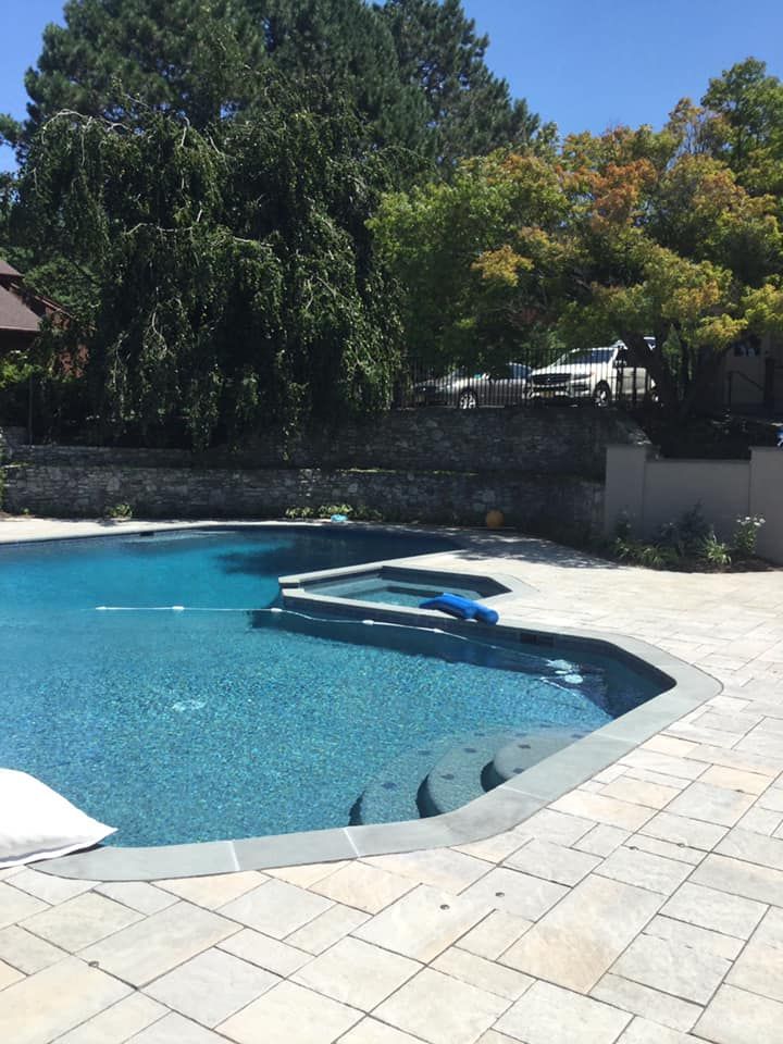 A large swimming pool is surrounded by trees on a sunny day