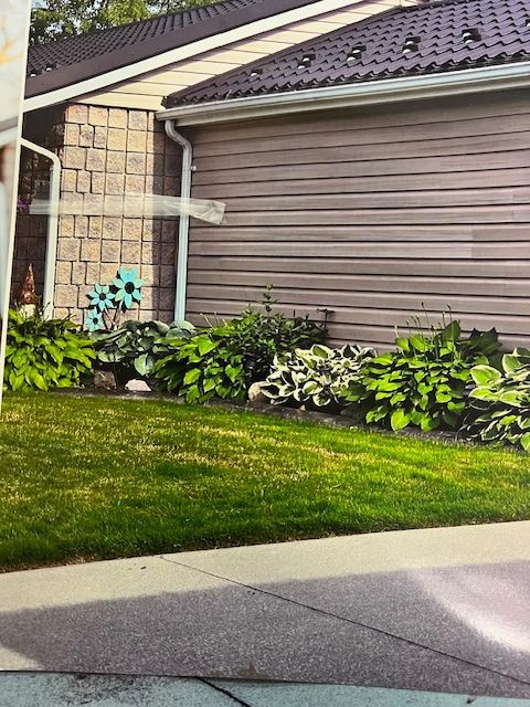 A house with a lot of plants in front of it