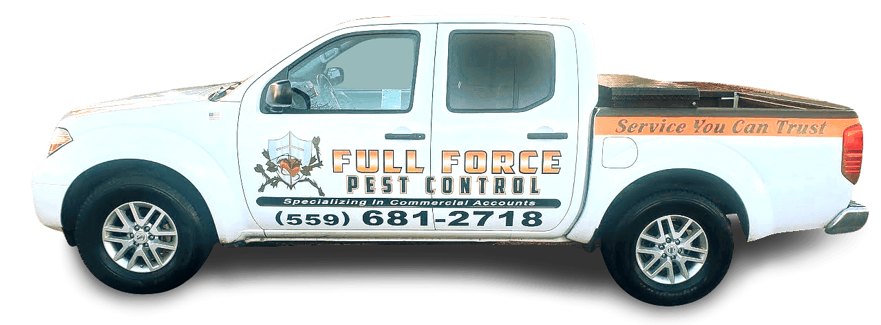 full force pest control