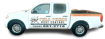 Pest Control Fresno