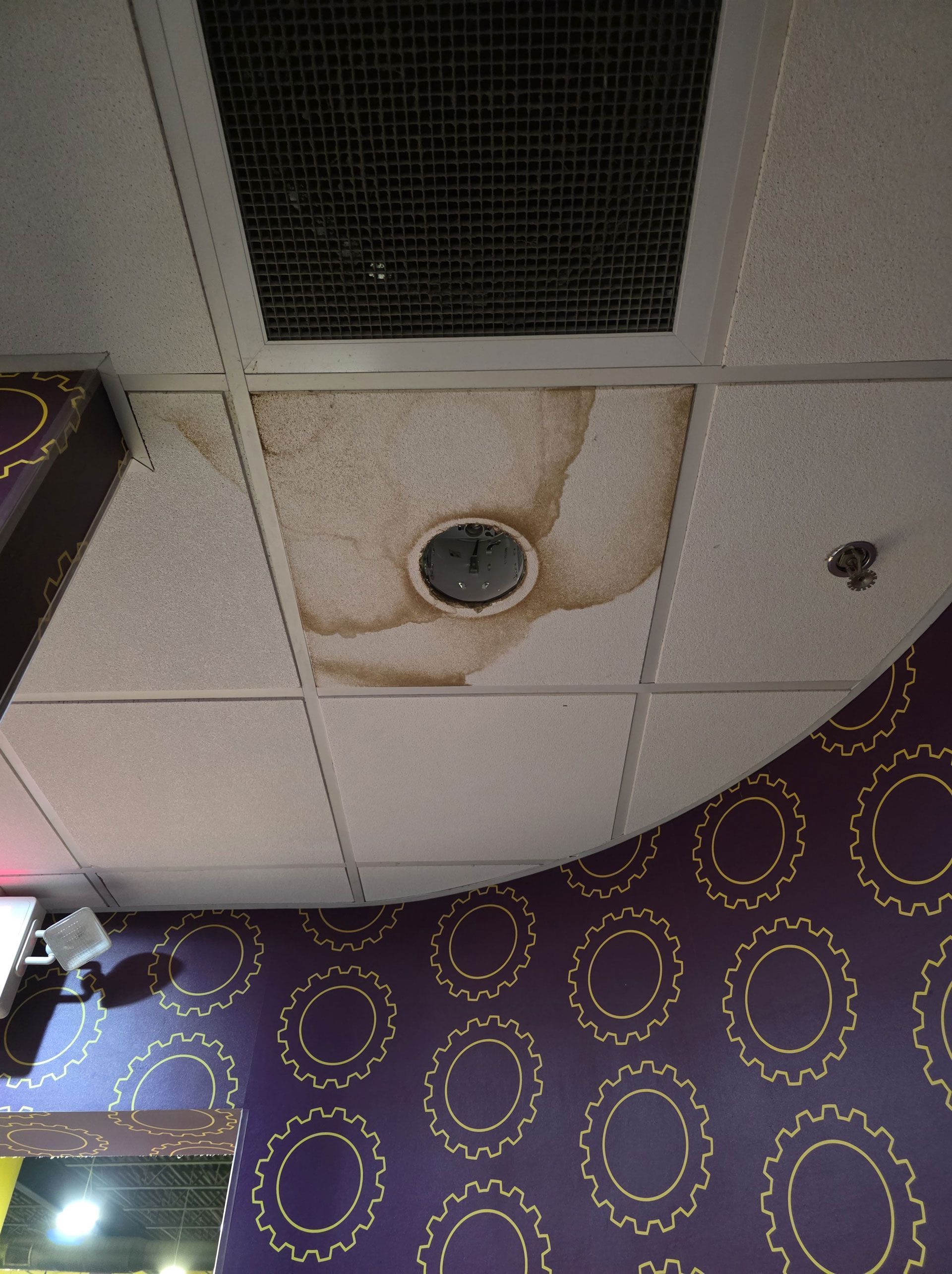 Ceiling tile with water stain around a circular vent, above purple patterned wall.