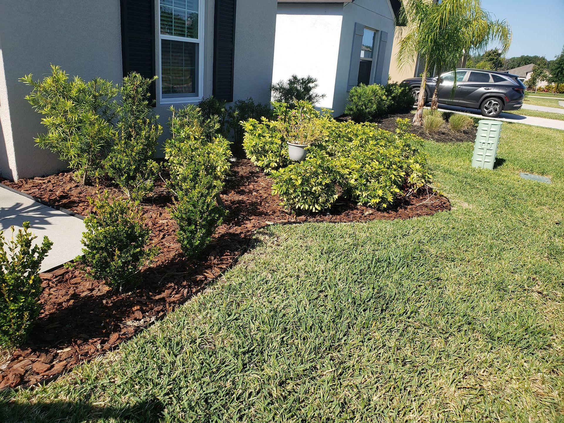 A house with a lot of plants in front of it
