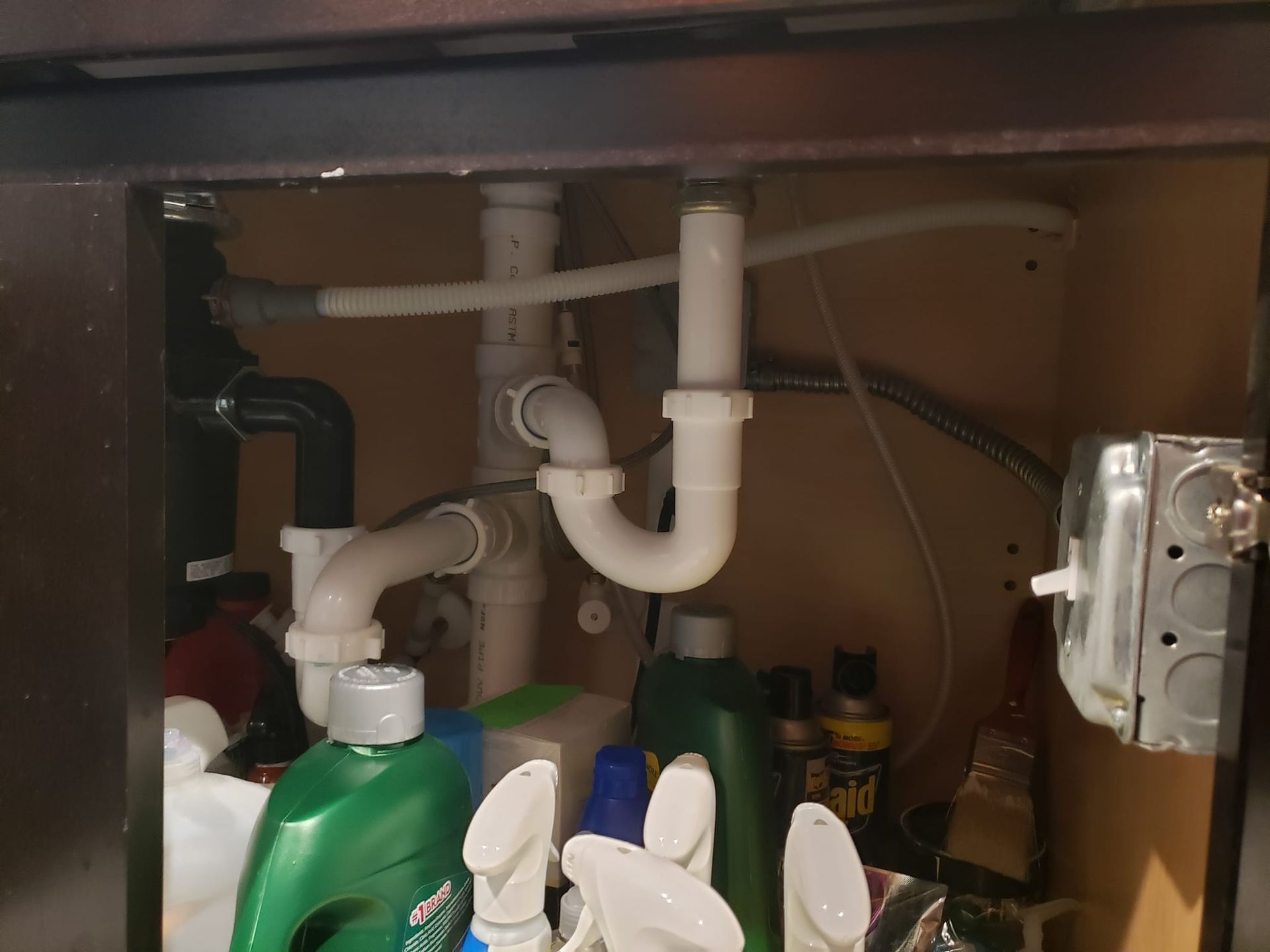 A sink with a lot of cleaning supplies underneath it