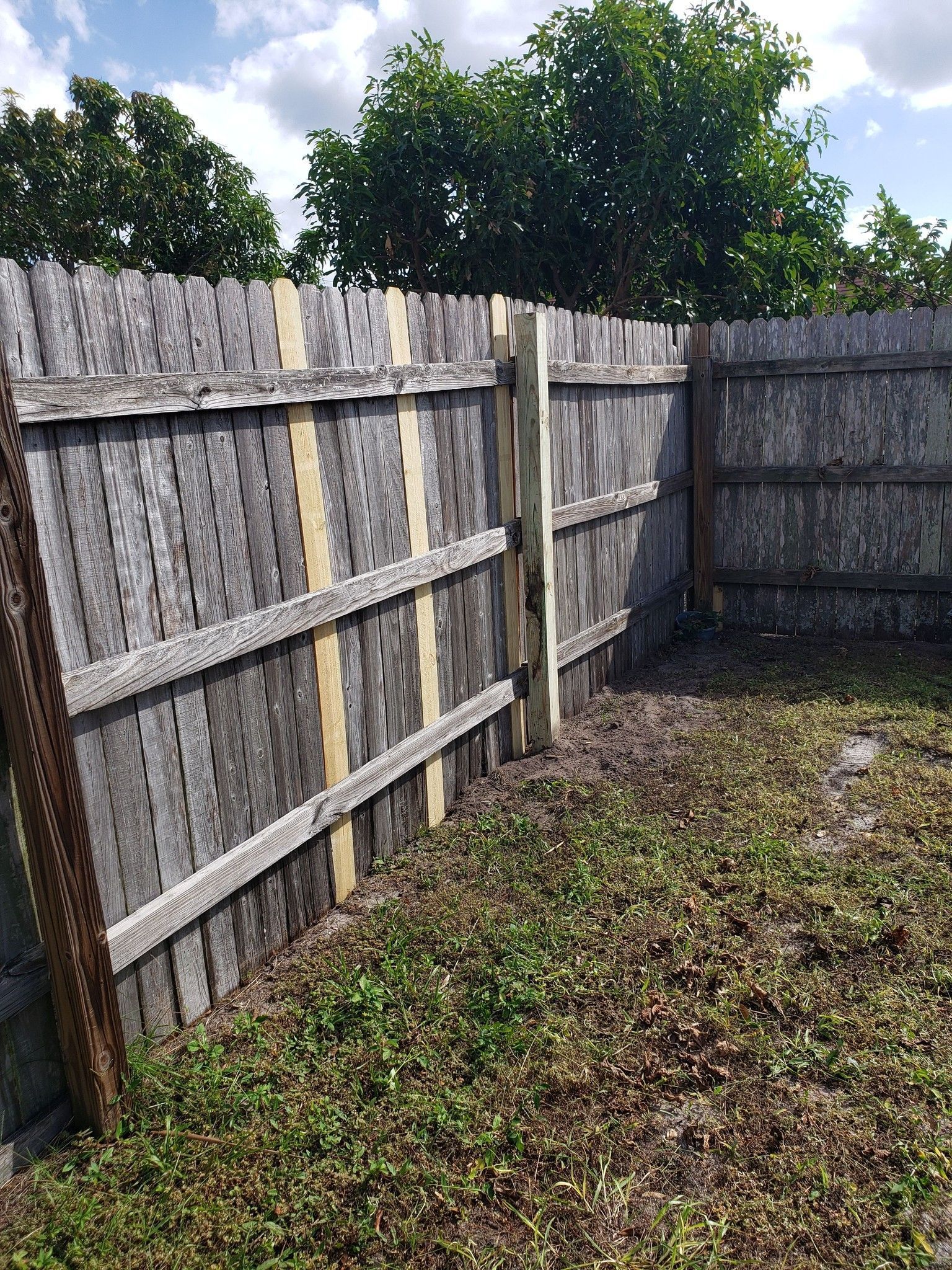 Wooden fence with new support posts and yellow wood strips, in grassy yard.