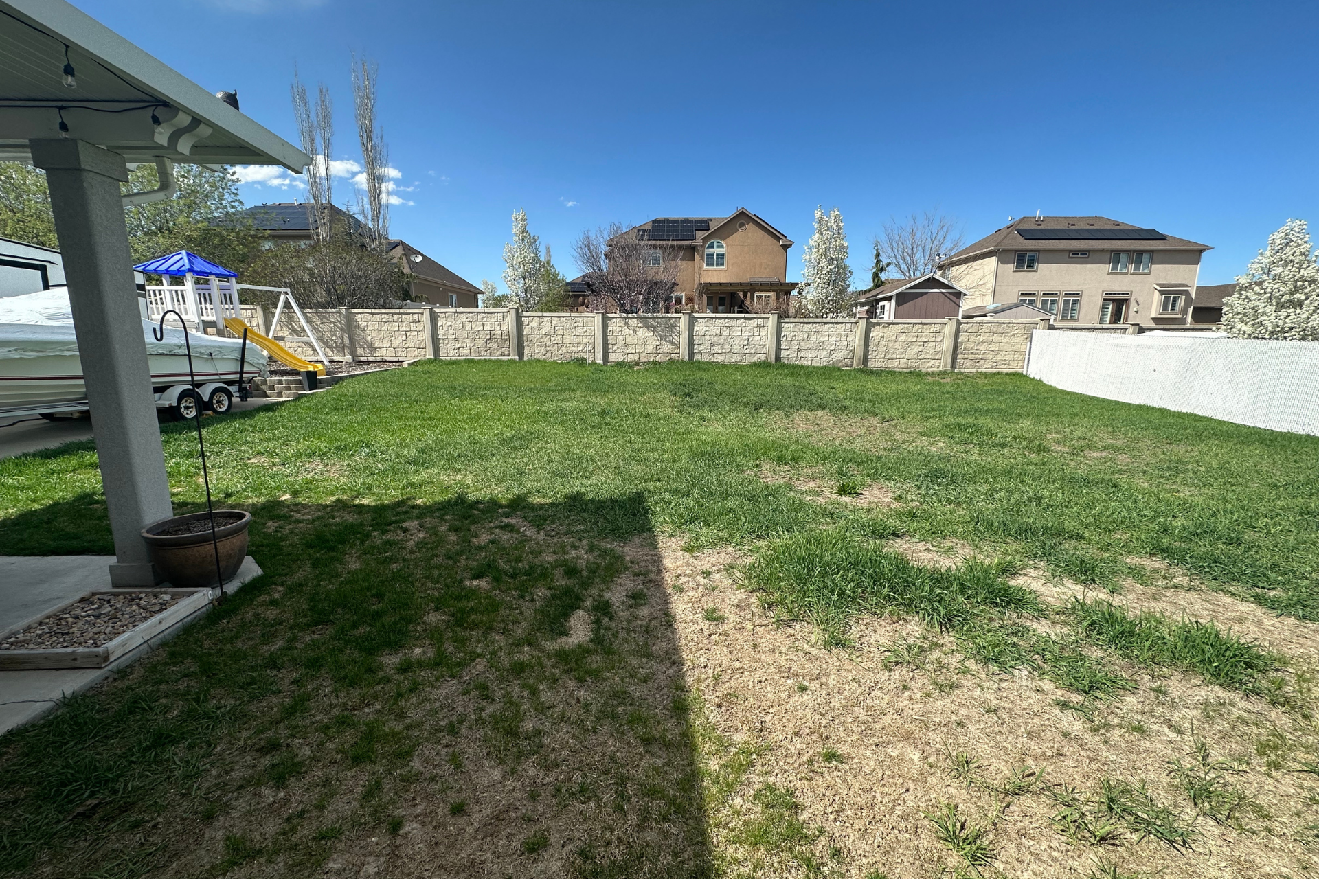 A before picture of a large grassy yard 