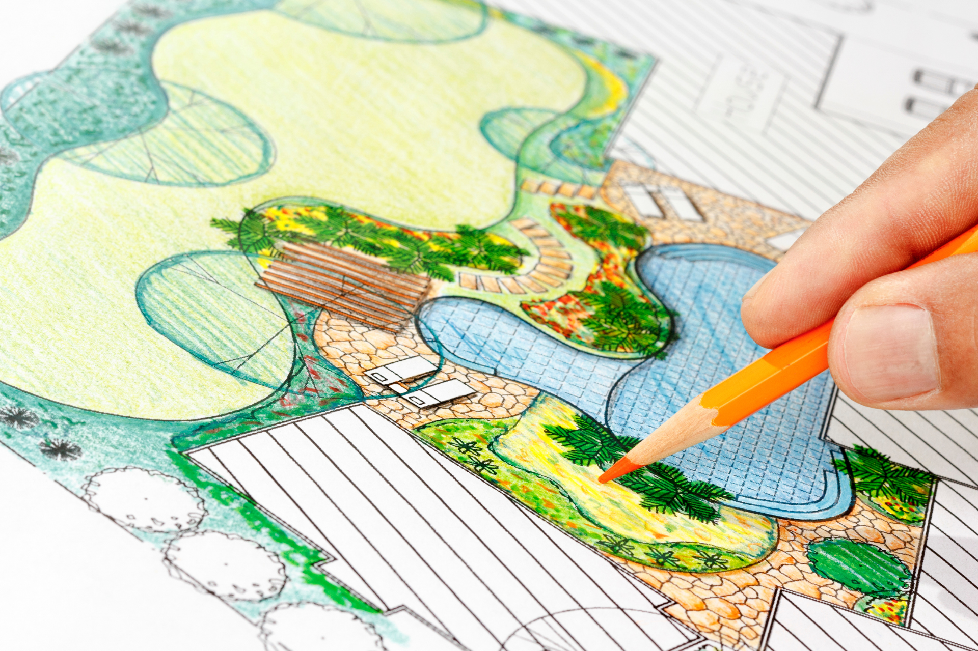 A landscape designer is drawing a garden with a pencil