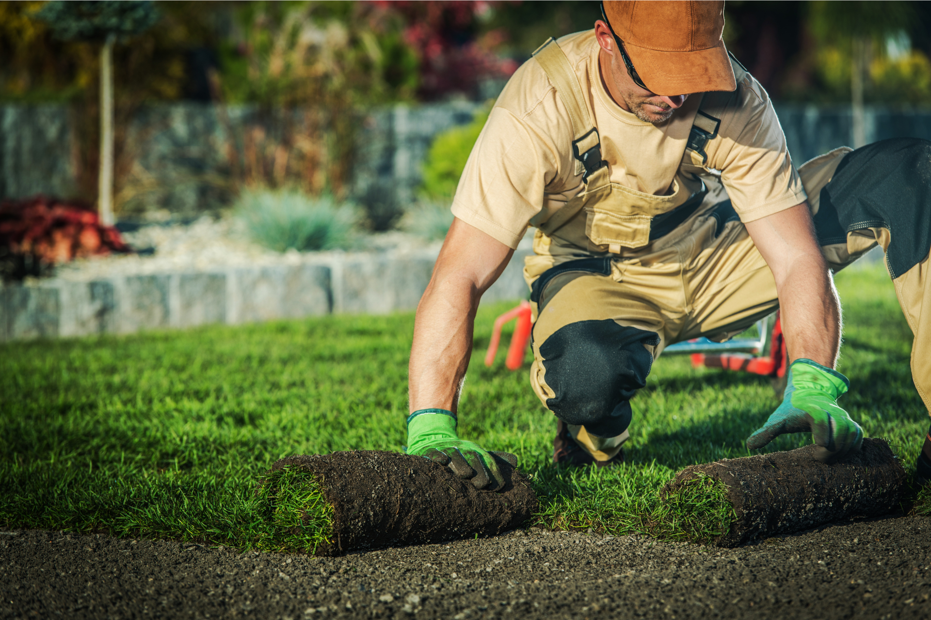 Professional Landscape Installation