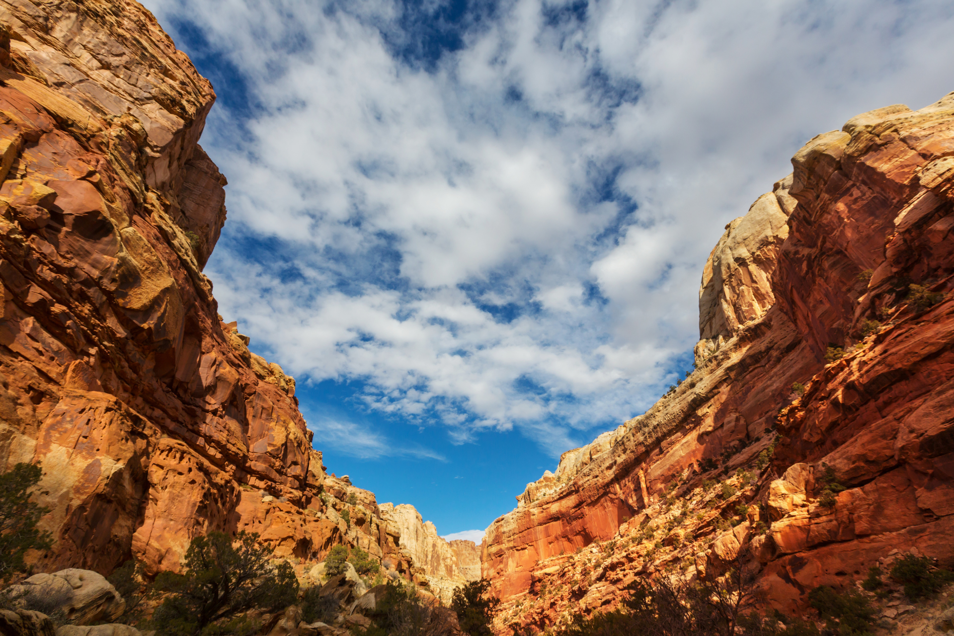 Utah Landscape