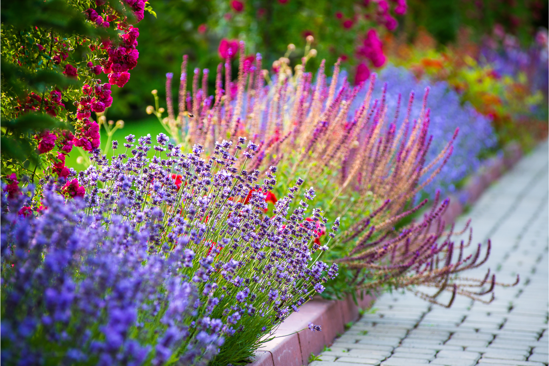 Color in Landscaping