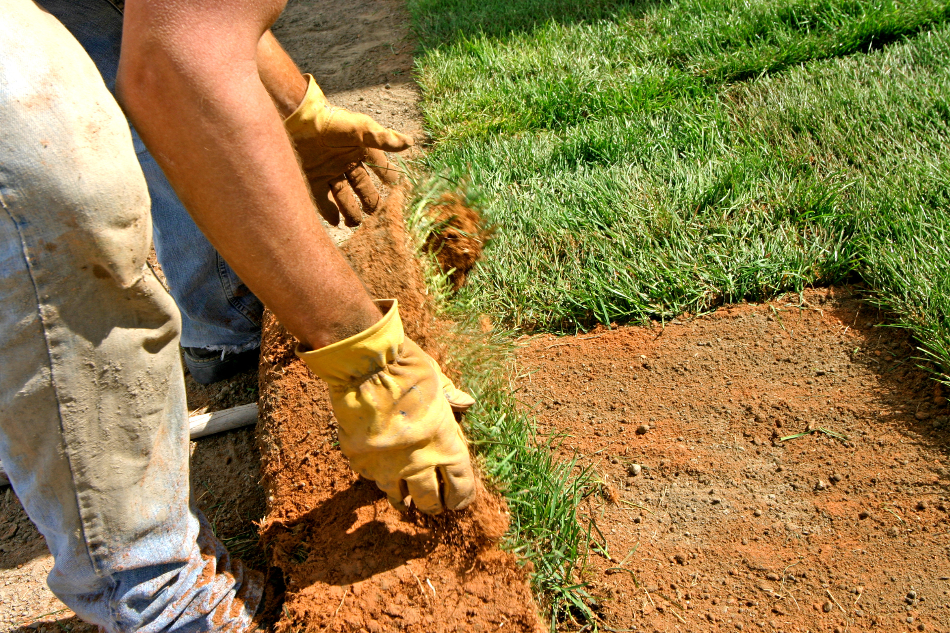 Laying Sod