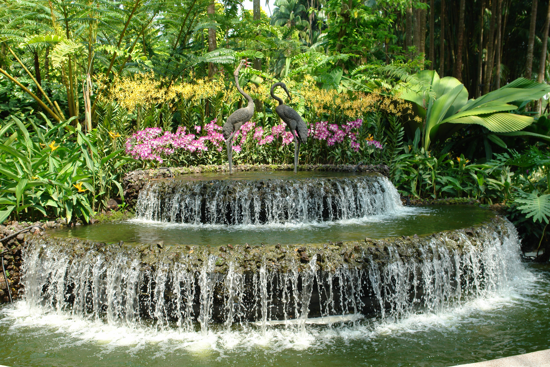  Water Feature