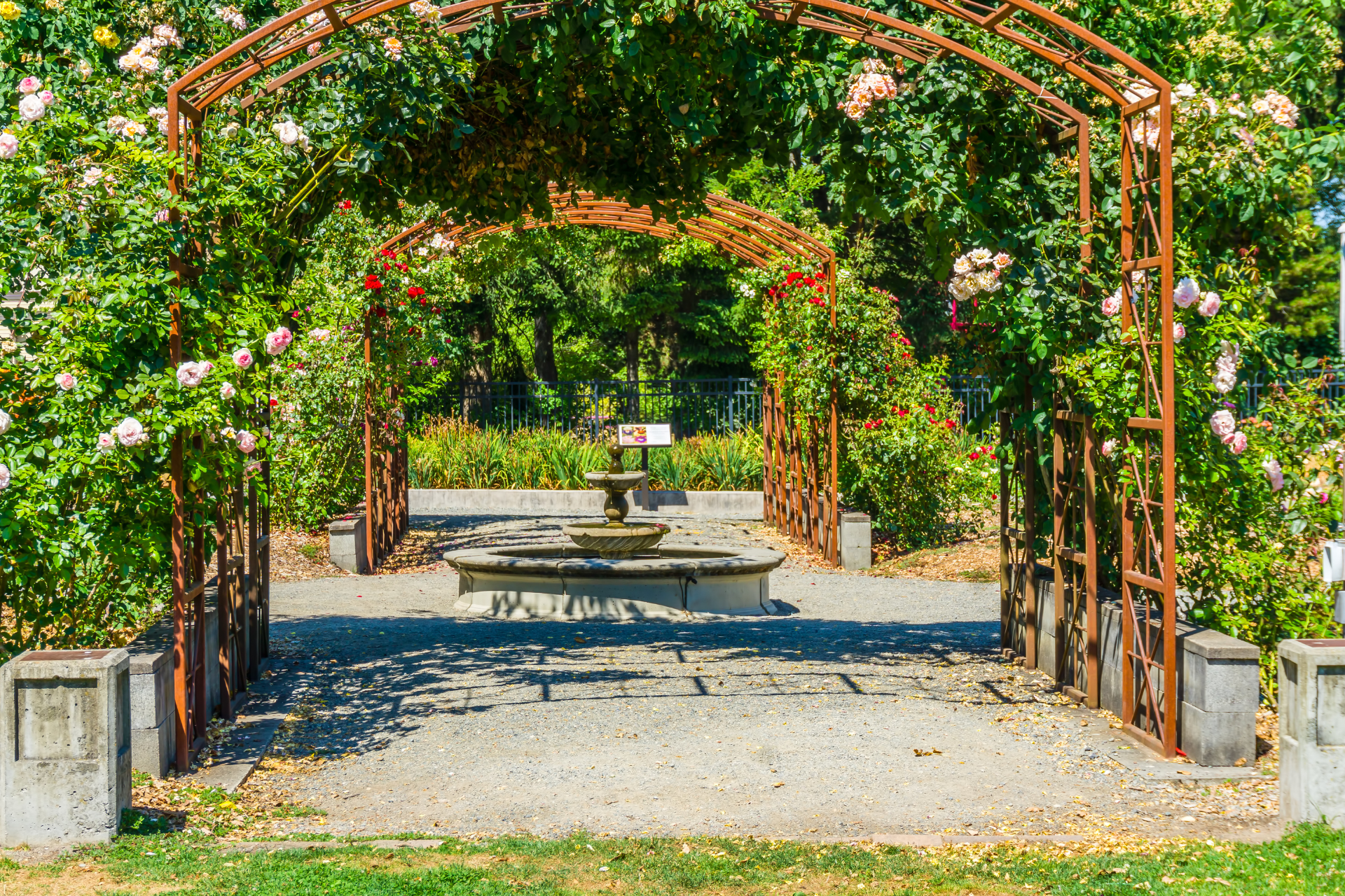 Arbors and Trellises