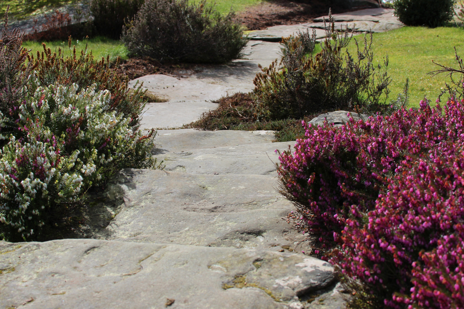 Flagstone Pathways