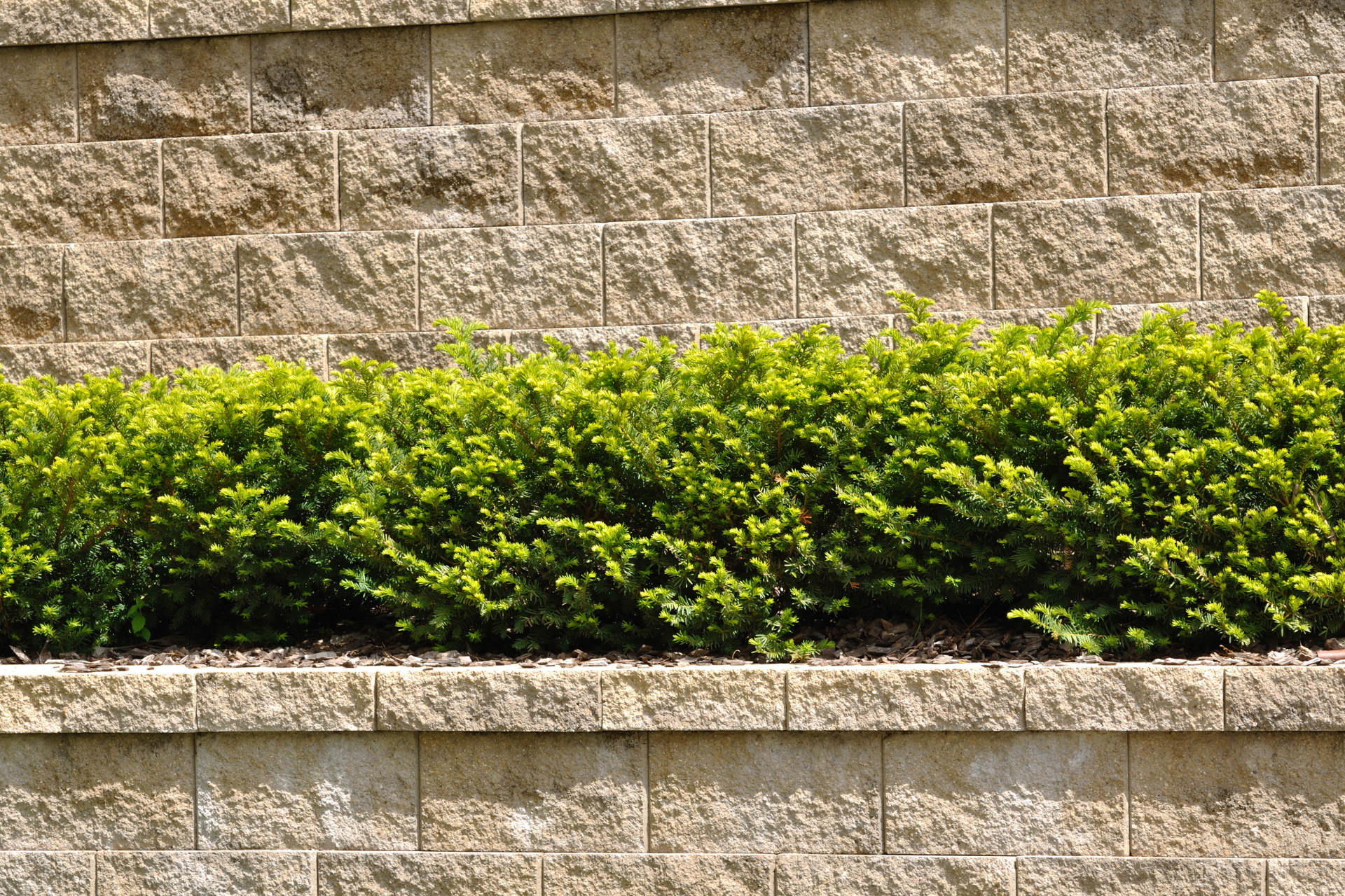 Retaining Wall Planters