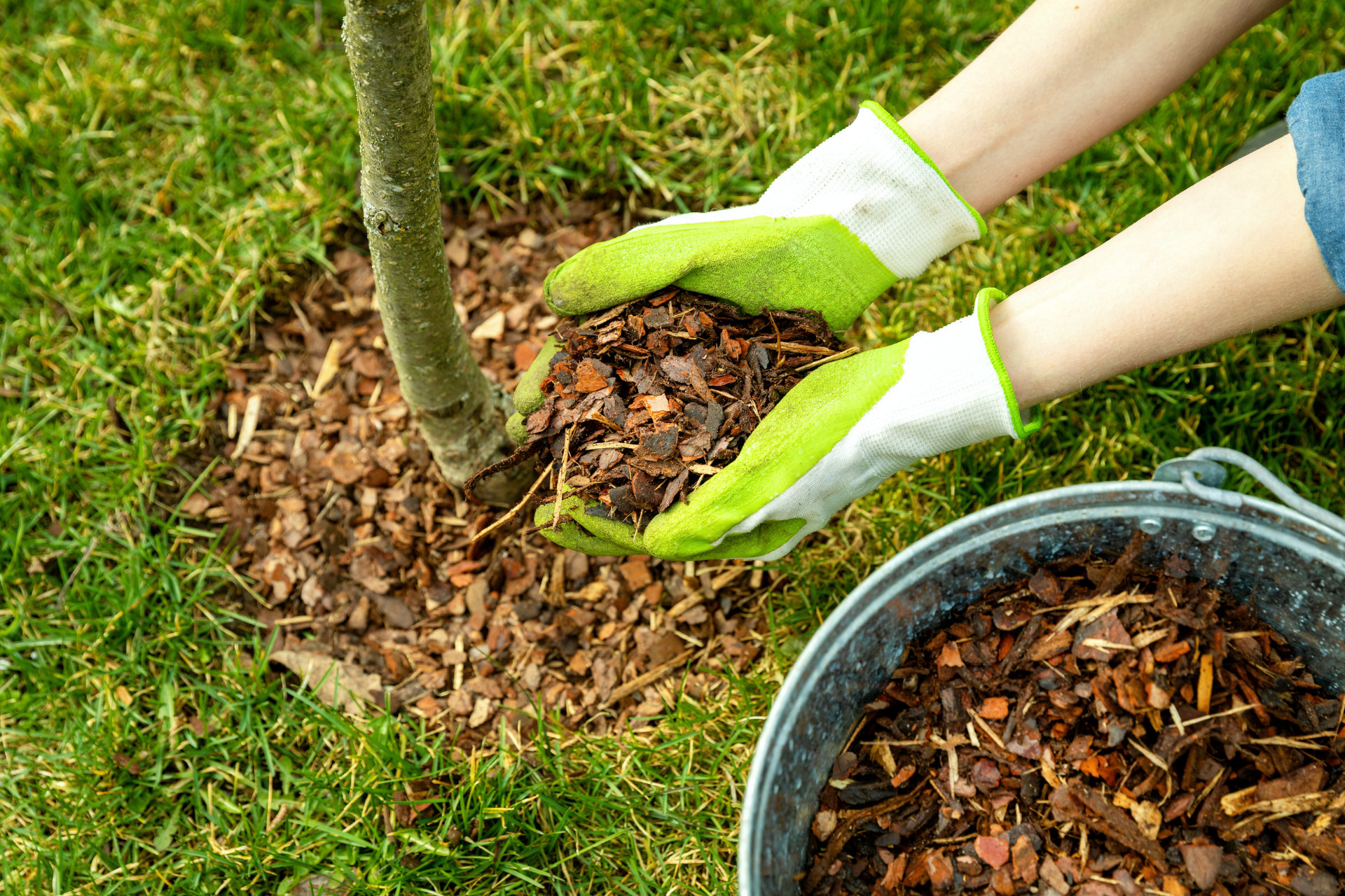 Mulching