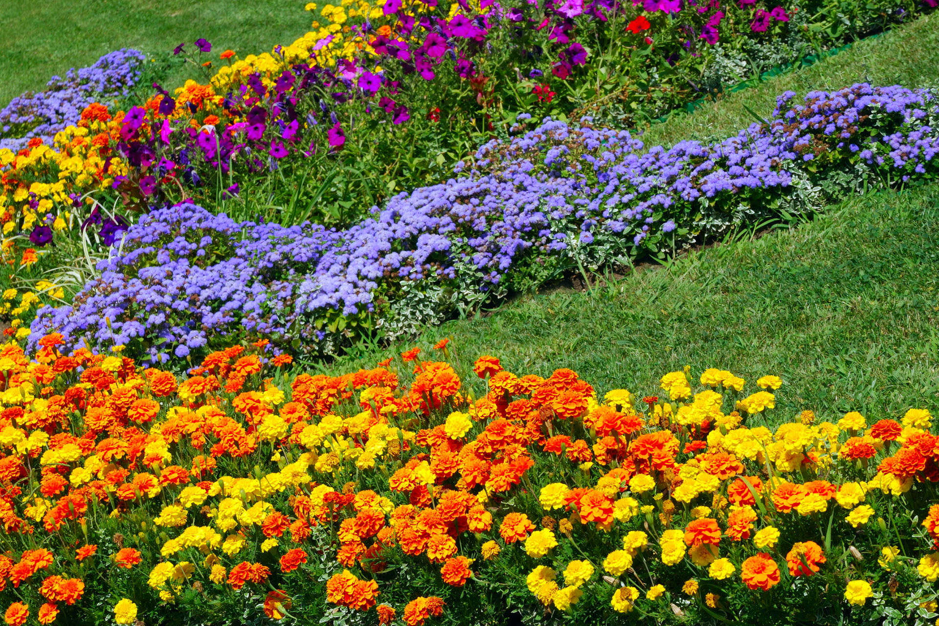 Colorful Flower Beds