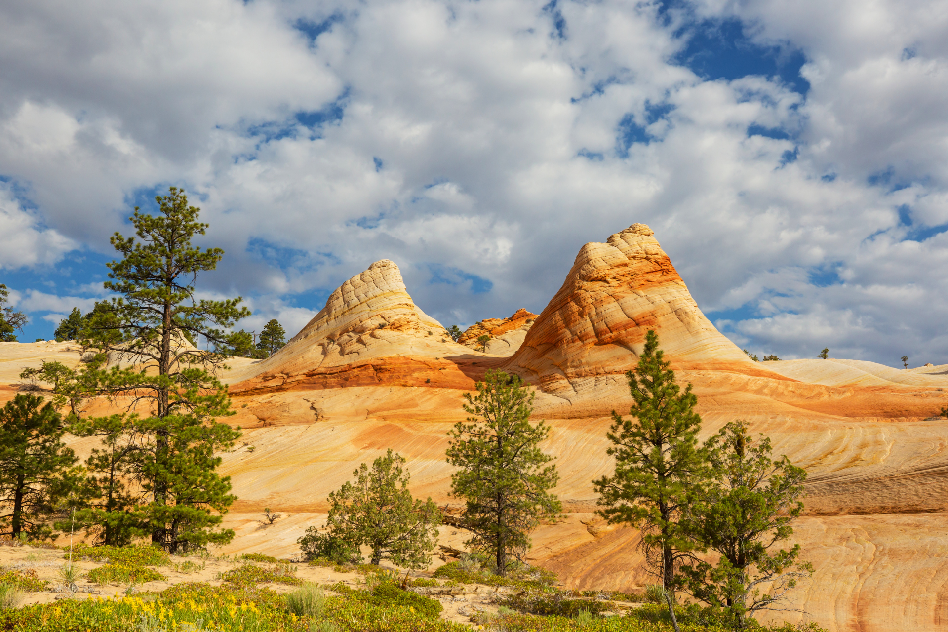 Utah's Unique Landscape