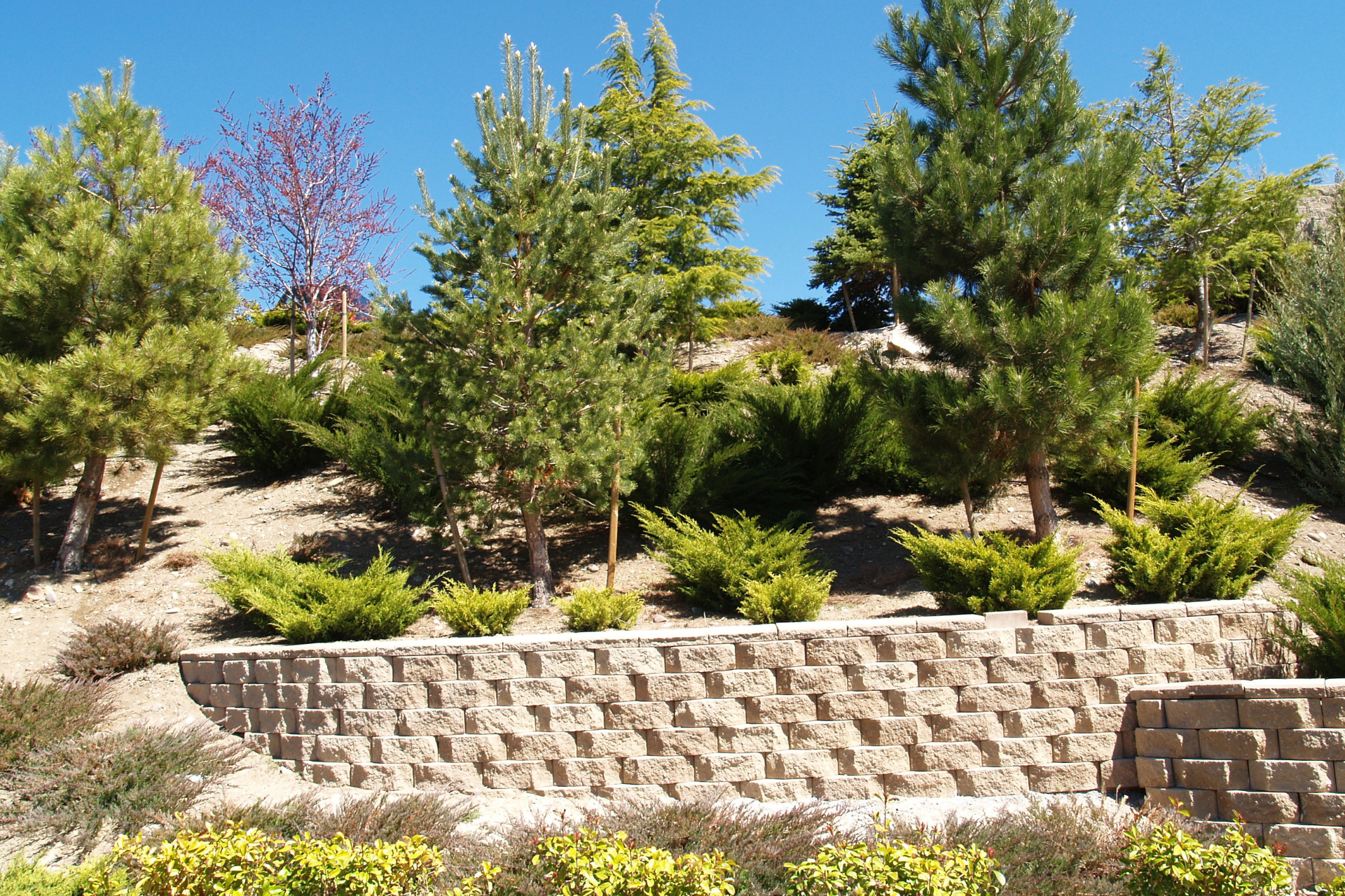 Retaining Wall Maintenance