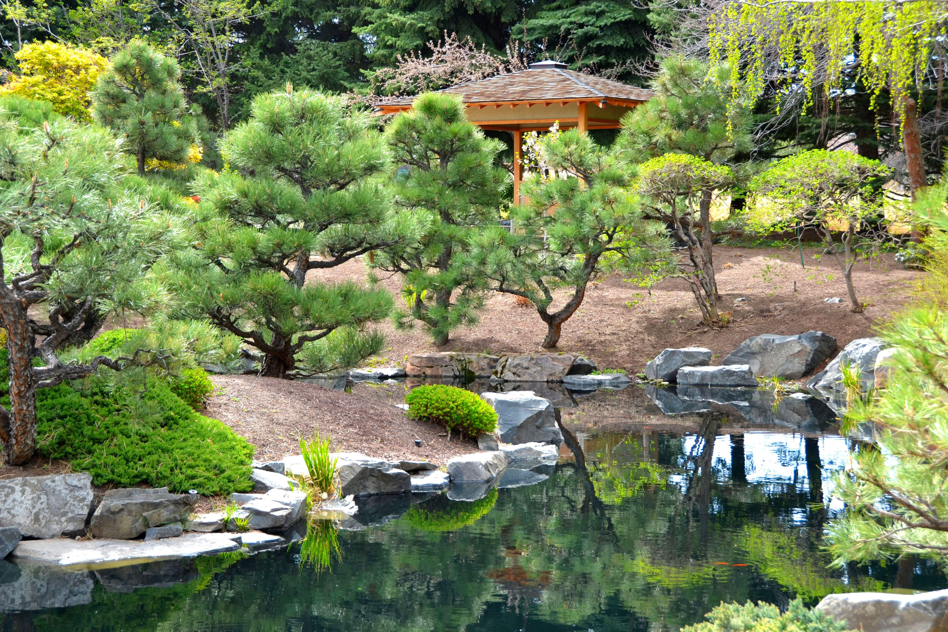 Zen Garden with Water Features