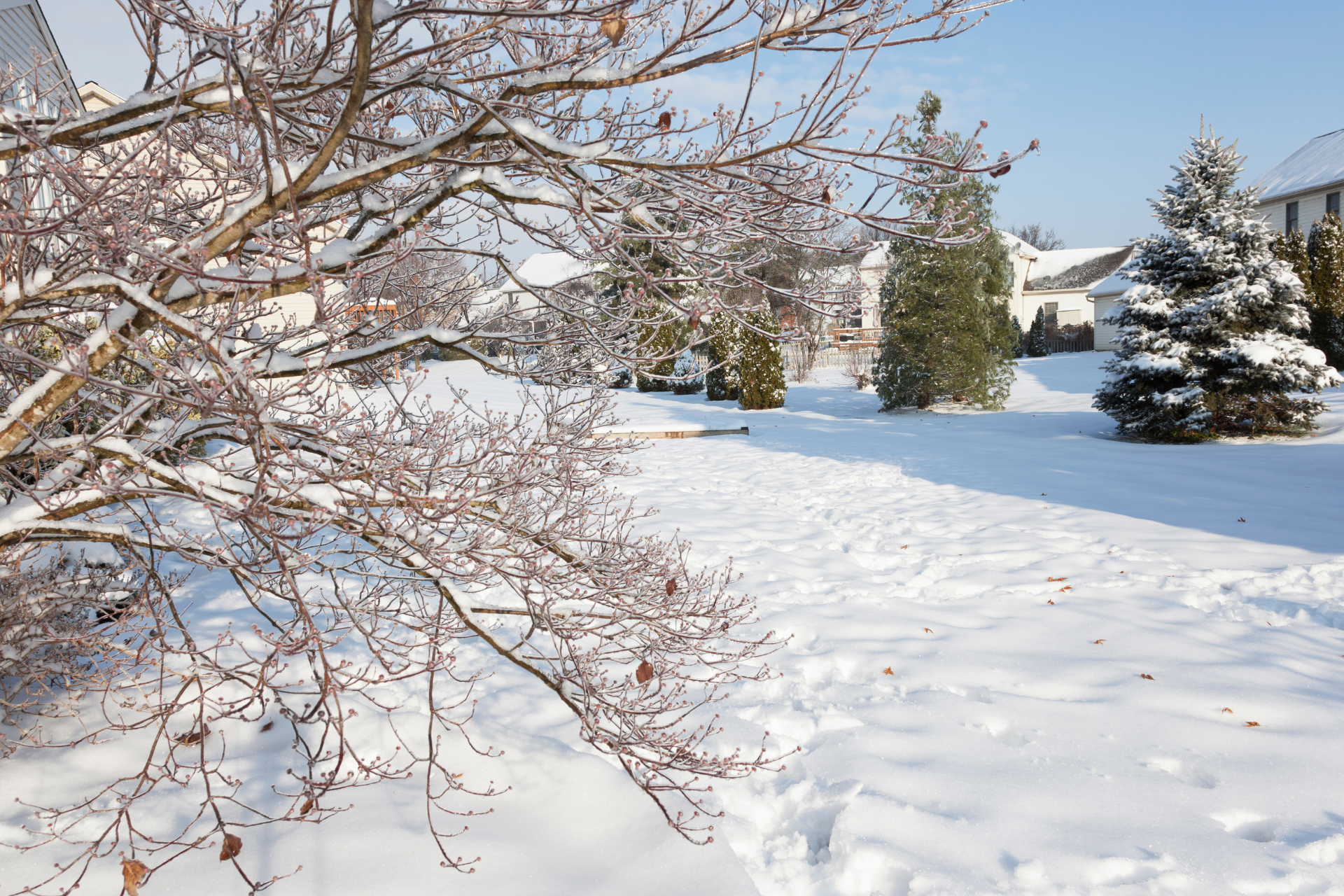 Seasonal Landscaping