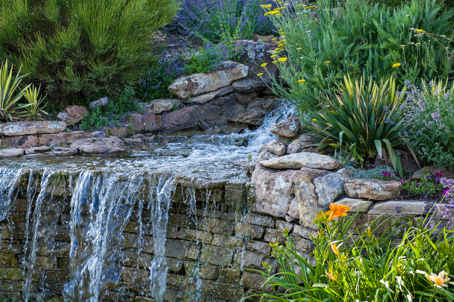 Water Feature