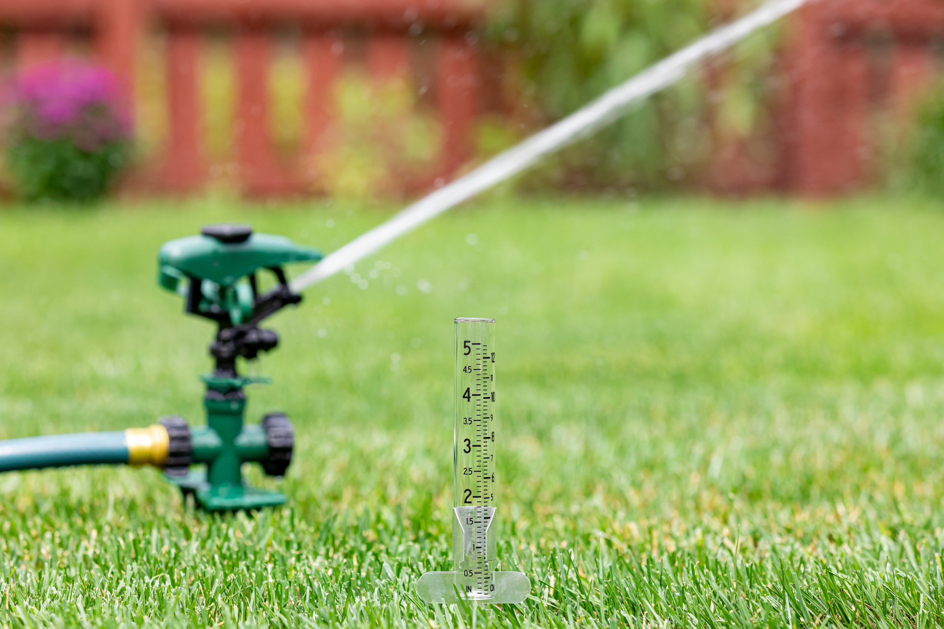 Water Conservation for Landscapes