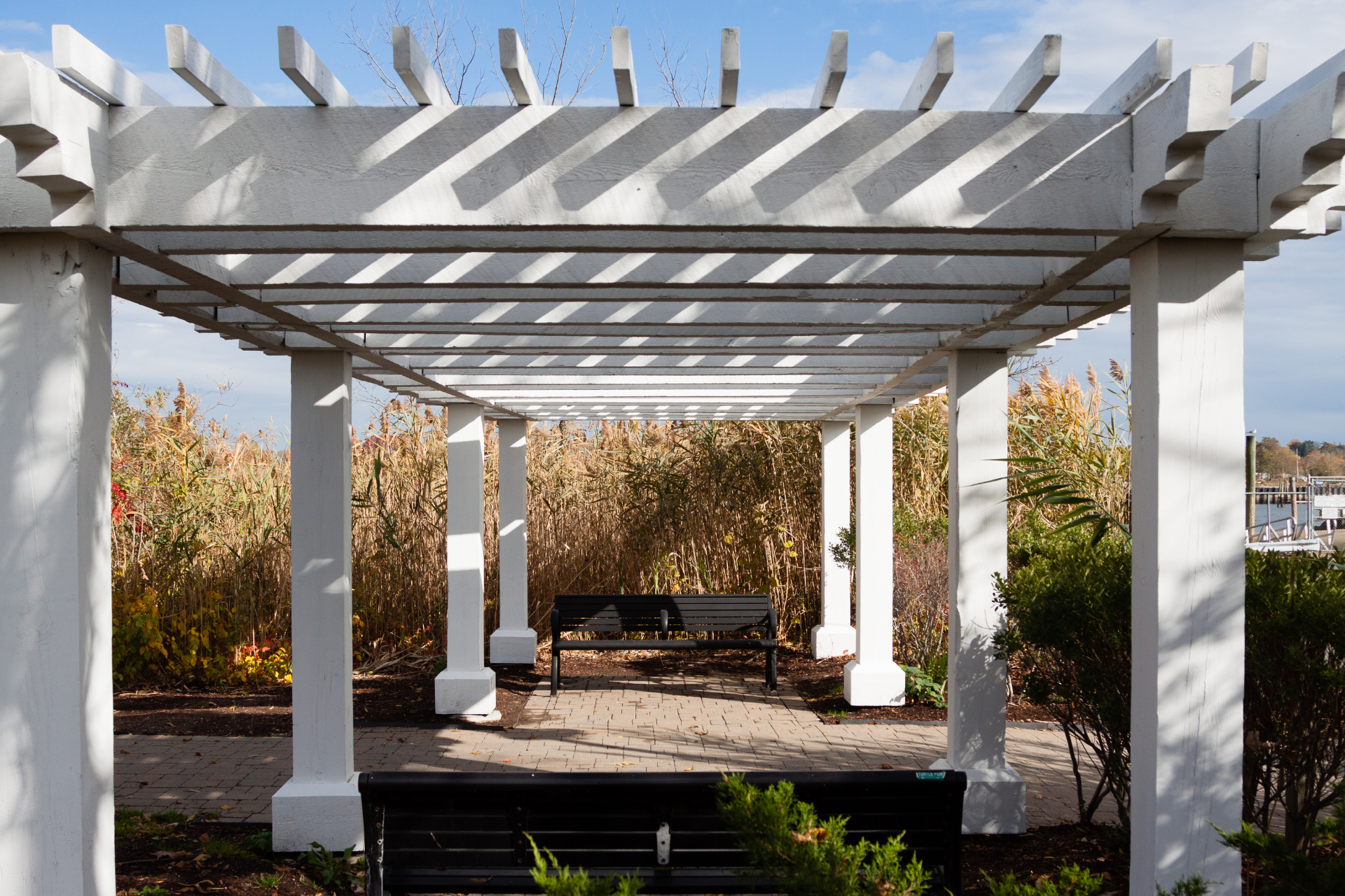 Pergola