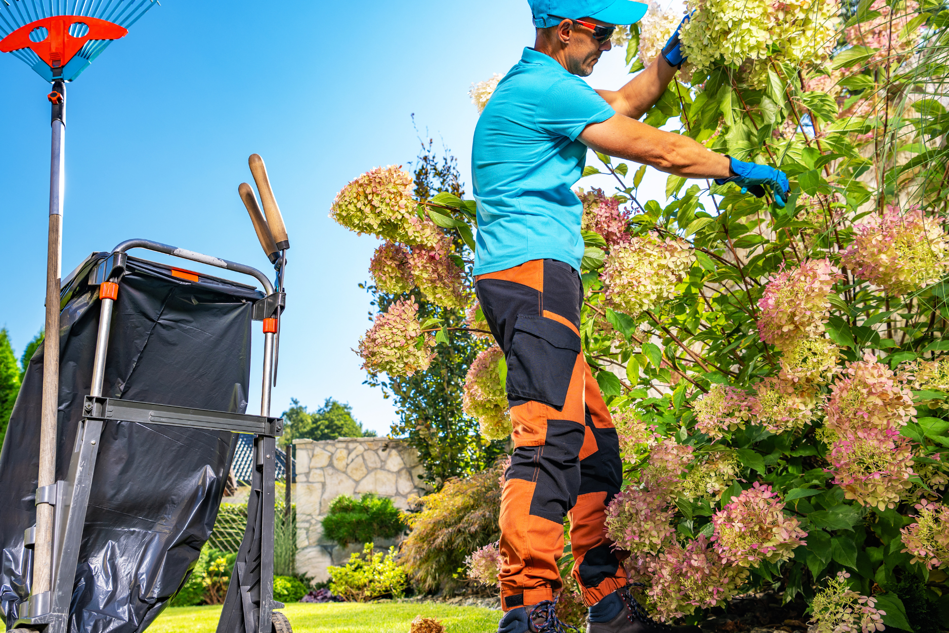 Seasonal Landscaping