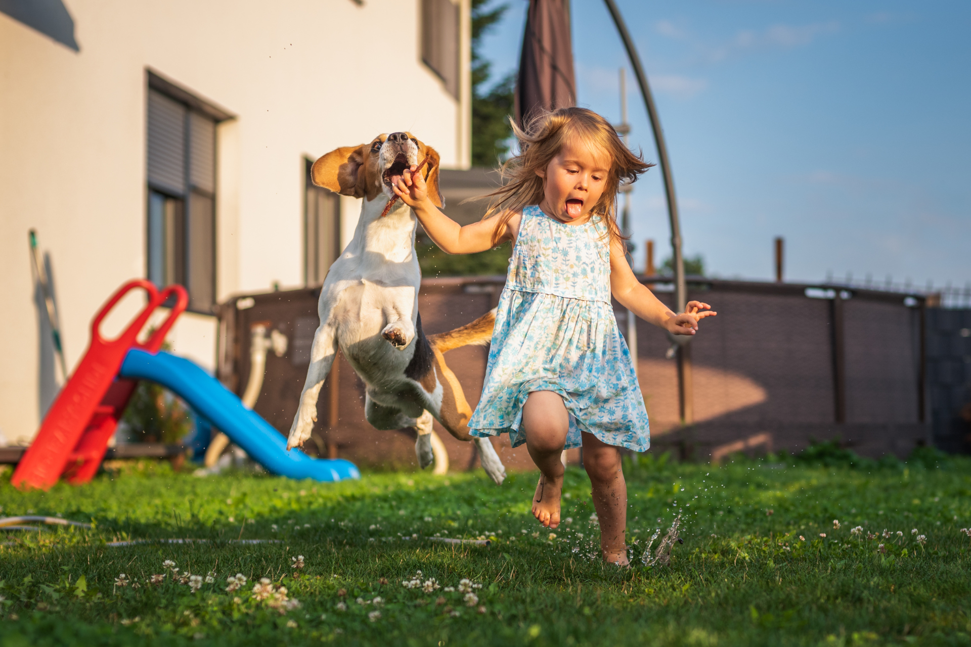 Child-Friendly Backyard