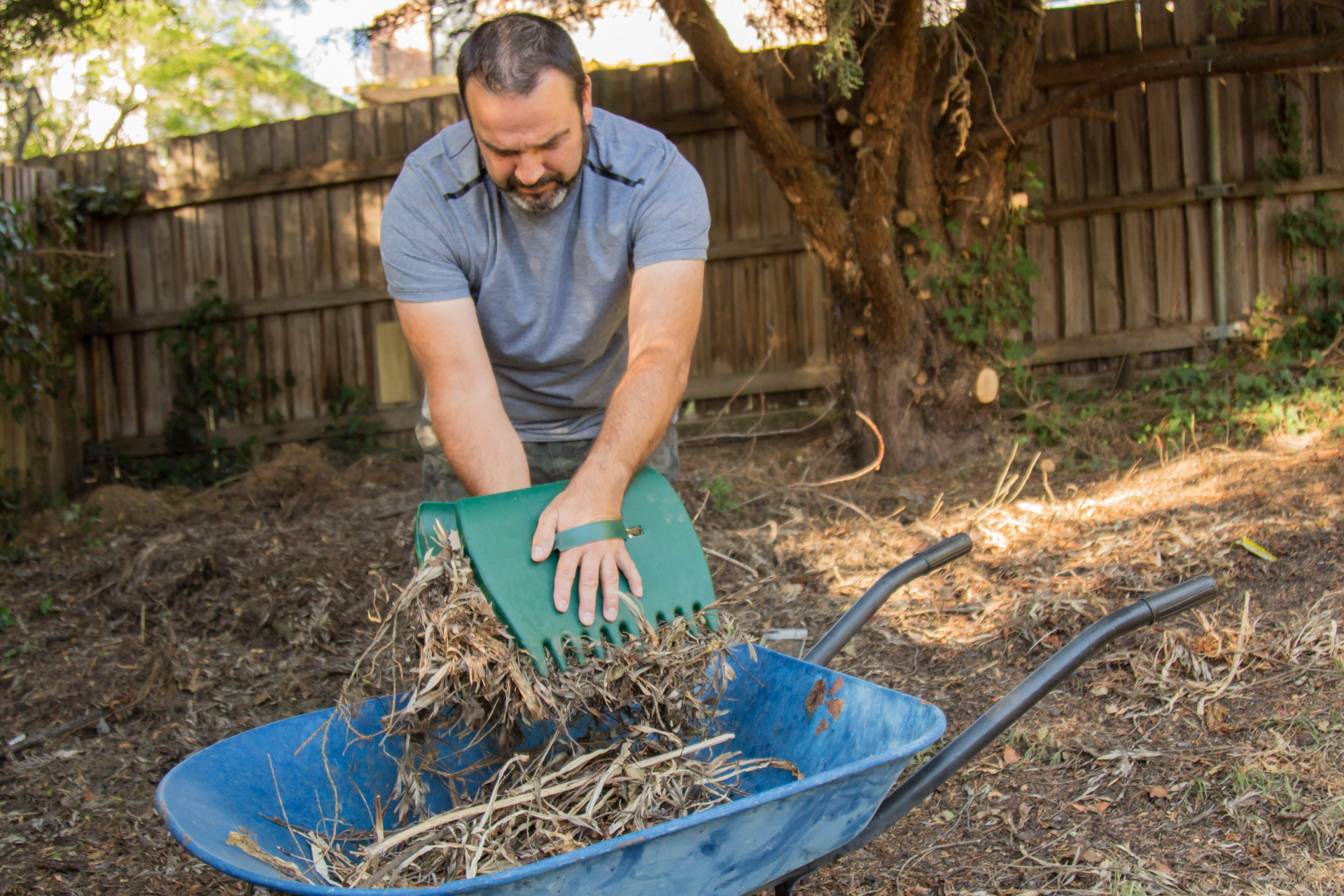  Low-Maintenance Garden