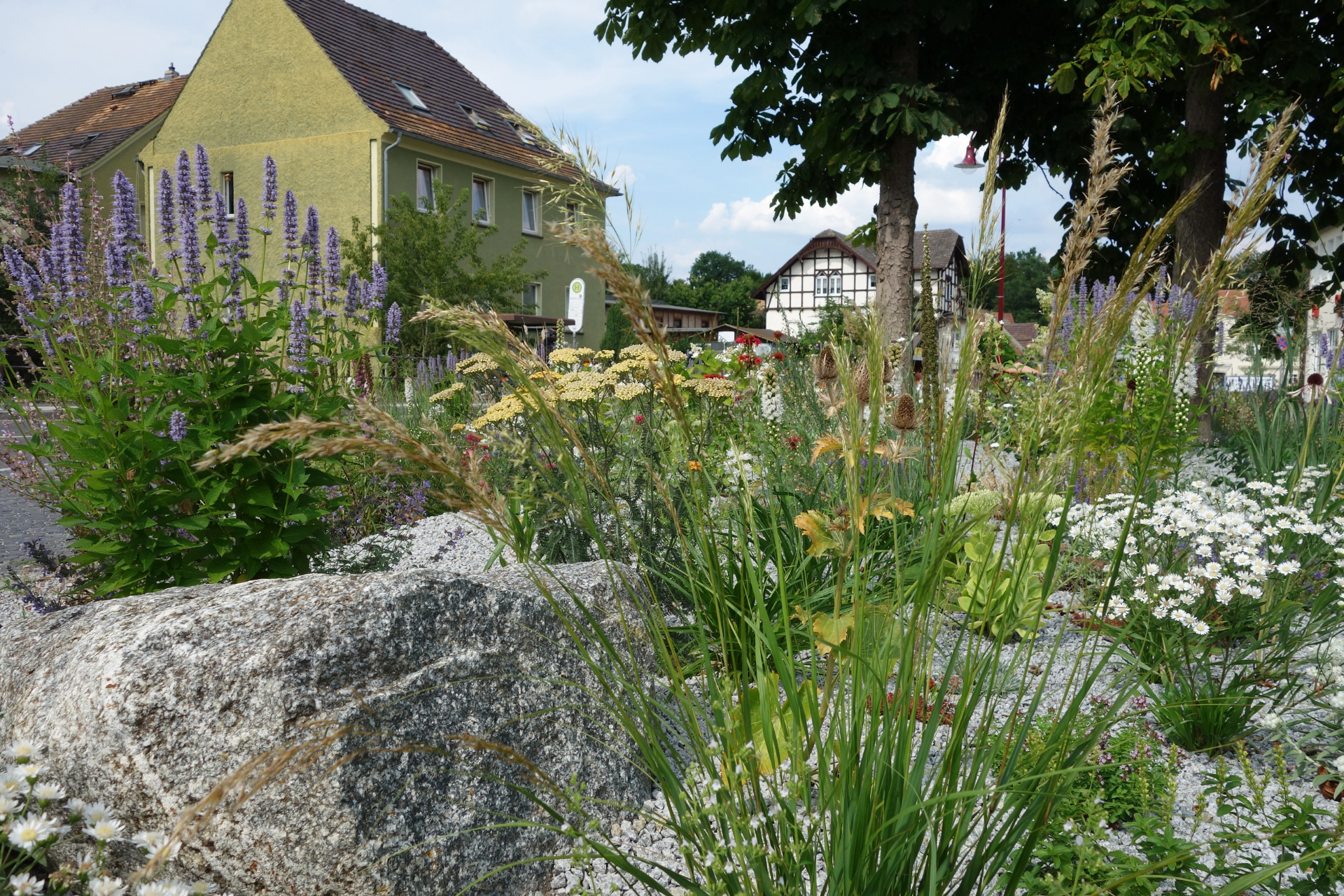  Native Plants