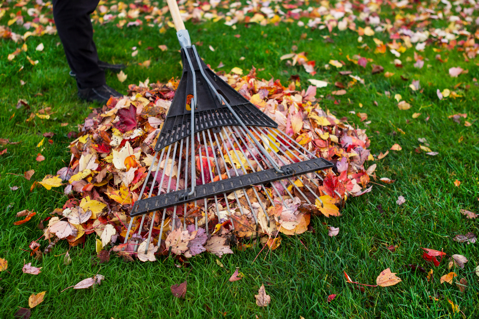 Seasonal Landscaping