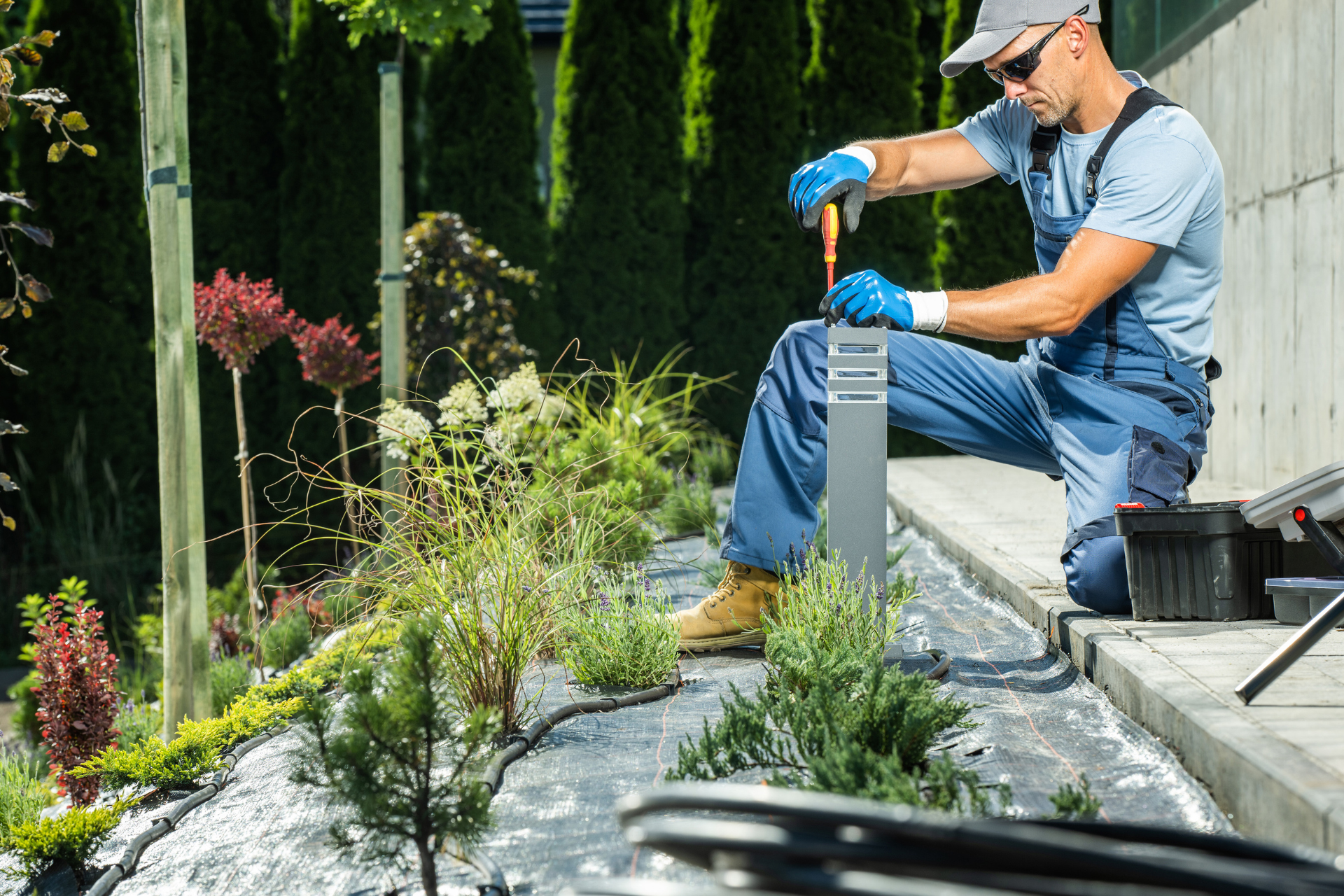 Professional Landscape Installation